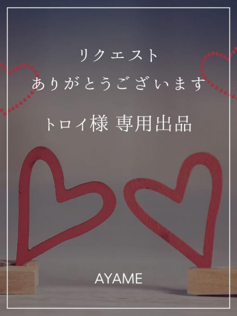 【トロイ様 専用出品】リクエストありがとうございます♡